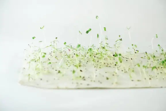 Guide pratique pour planter ton étiquette ou ta carte à planter