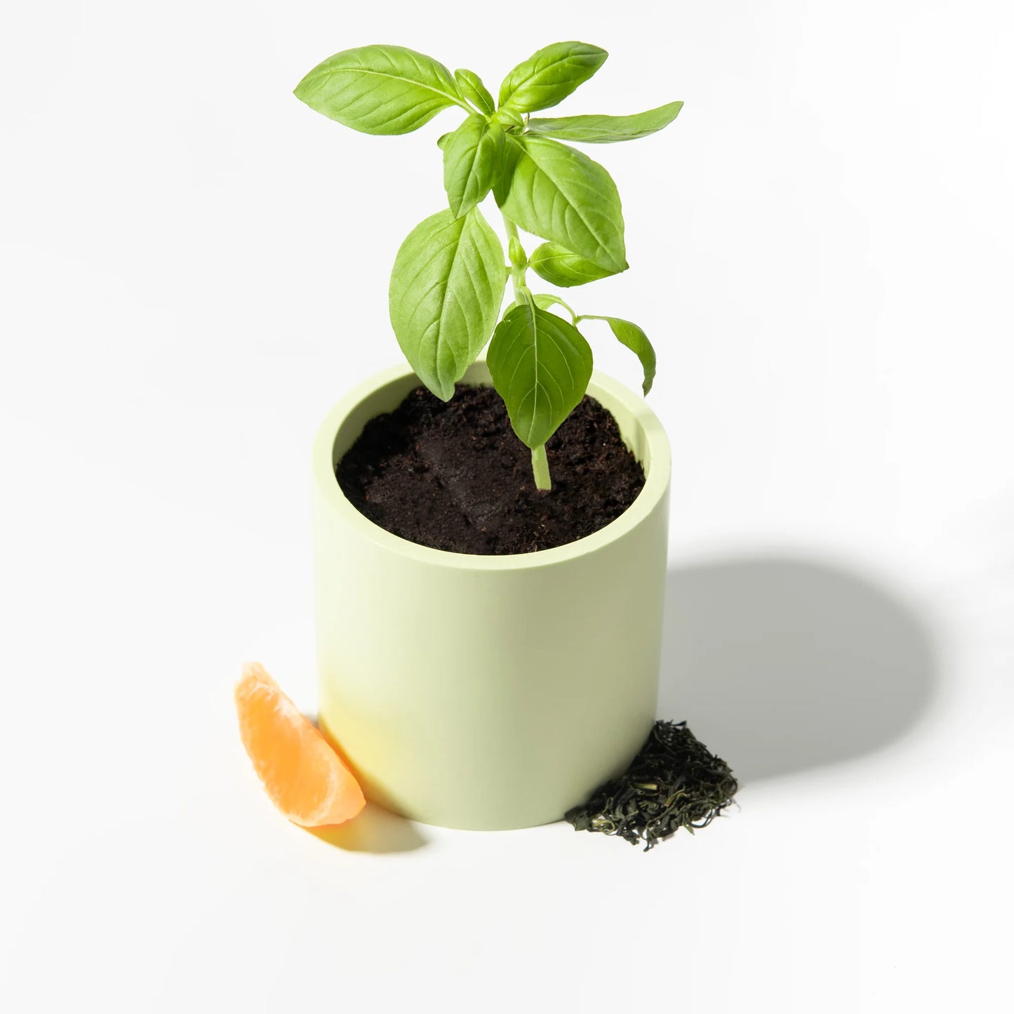 Jejudo - Bougie Parfumée et Rechargeable Thé vert, Clémentine