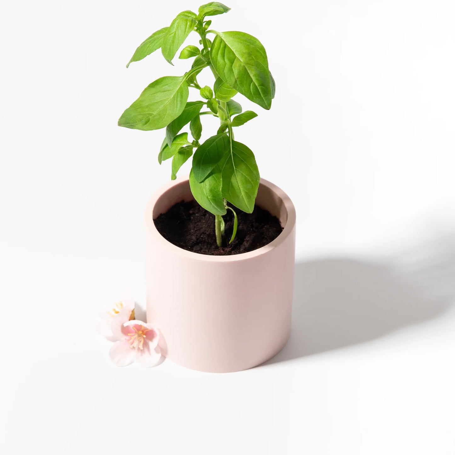 Osaka - Bougie Parfumée et Rechargeable Fleurs de Cerisier Glycines